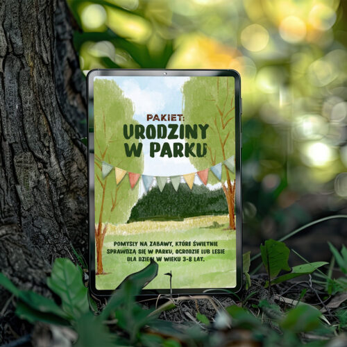 Pakiet Zabaw: Urodziny w Parku